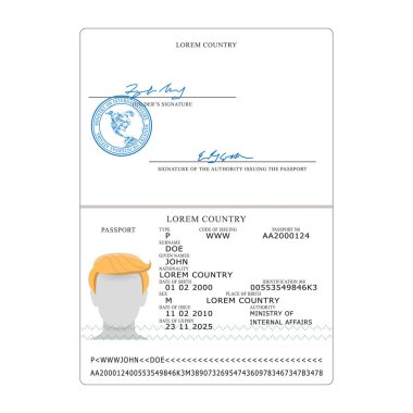 Uluslararası pasaport vektör. Açılan Passport sayfa boş şablon. Kimlik belgesi.