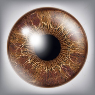 İnsan gözü Iris vektör. 3D gerçekçi göz küresi illüstrasyon