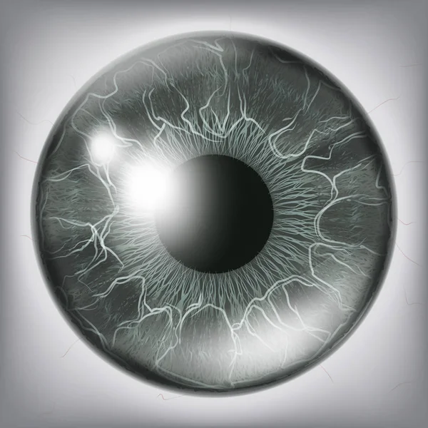 Human Eye Iris Close Up Vector. Healthy Medical Concept Illustration — Stock Vector