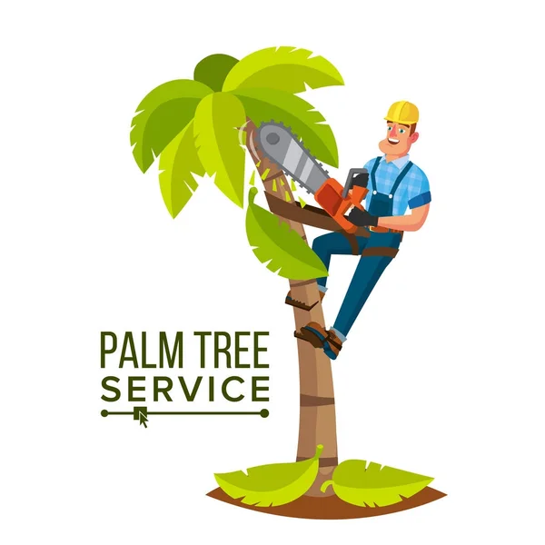 Palm Tree Service Vector. Professional Man. trimmen boom of verwijdering te snoeien. Geïsoleerd plat Cartoon karakter illustratie — Stockvector