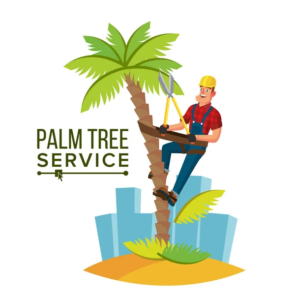 Palm Tree Care Vector. Trimming Tree Or Removal To Tree Pruning