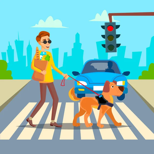 盲目の男のベクトル。仲間を助けるペット犬と若い人は。障害者社会化概念。視覚障害者と盲導犬横断歩道上。漫画キャラ イラスト — ストックベクタ