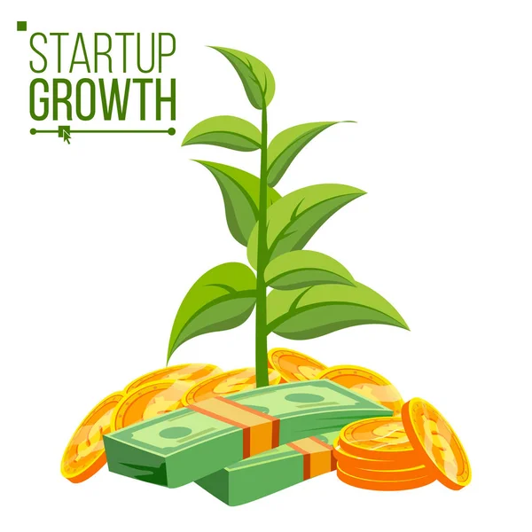 Opstarten groei Concept Vector. De plant groeit In besparingen munten. Succes bedrijf. Geïsoleerd plat Cartoon afbeelding — Stockvector