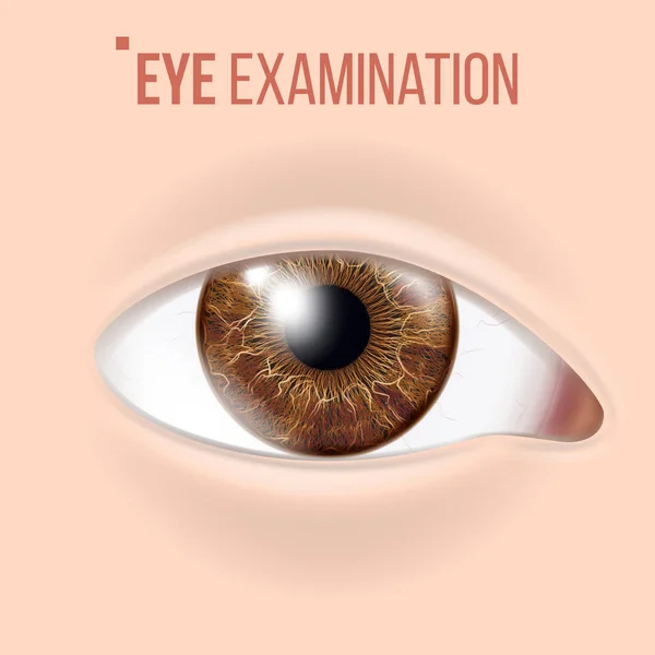 Emberi szem vektor. Látás fogalma. Klinika orvosi szemmel diagnosztikai. Reális részletes illusztráció — Stock Vector