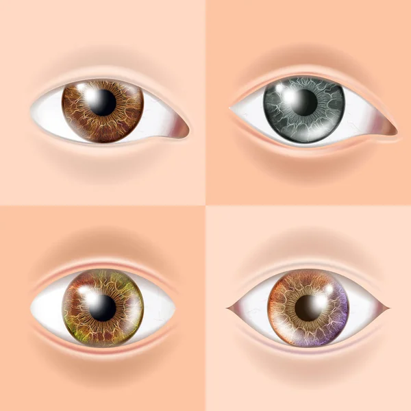 Human Eye Set Vector. Vision Concept. Medical Eye Diagnostic. Sight, Eyesight. Organ Test. Body Care. Realistic Detail Illustration — Stock Vector