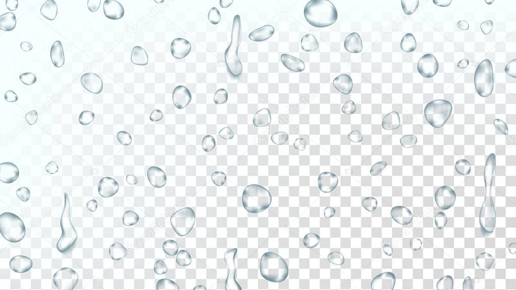 Water Drops Background Vector. Clean Fresh Water. Abstract Bubble. Freshness Concept. Liquid Texture. Shower Flux. Isolated On Transparent Background Illustration