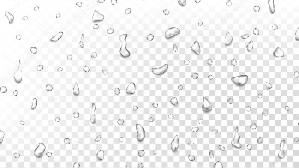 Water Drops Background Vector. Wet Backdrop. Clean Fresh Water. Abstract Bubble. Isolated On Transparent Background Illustration