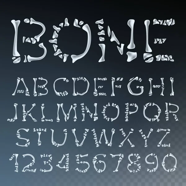 Bone Font Vector. Lettres Anatomie. Alphabet ABC. Style squelette. Alphabet Flippant. Illustration transparente isolée — Image vectorielle