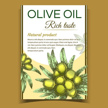 Poster Vektörü Üzerine Tarım Zeytin Ağacı Şubesi