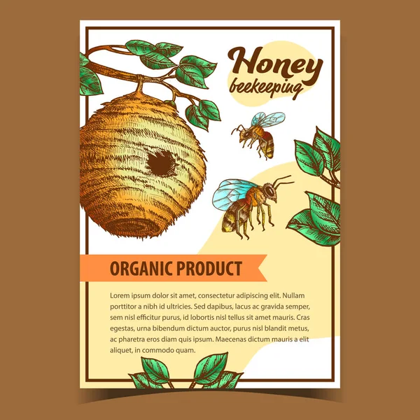 Μέλισσα εντόμων και άγρια κυψέλη σπίτι αφίσας διάνυσμα — Διανυσματικό Αρχείο