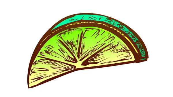 Lime Exotic Citrus Cut Slice Color Vector - Stok Vektor