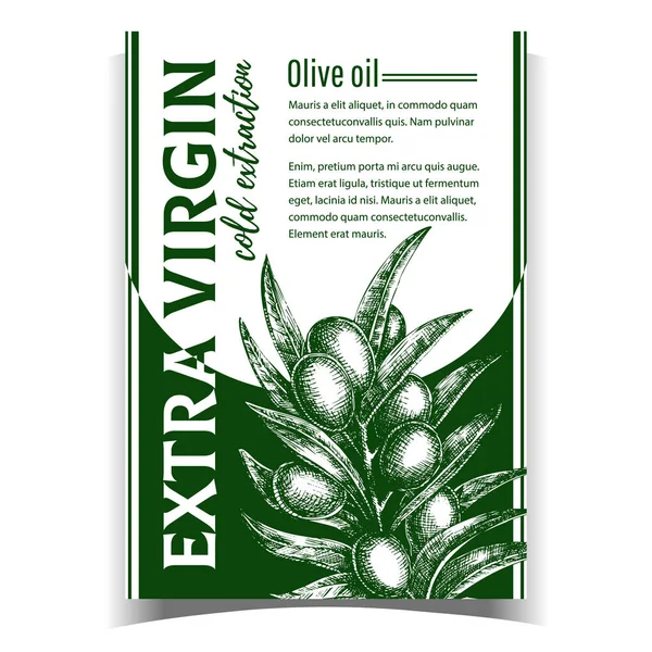 Vecteur de bannière de branche d'olivier frais naturel — Image vectorielle