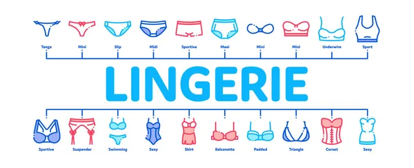 Lingerie Bras Panties Minimale Infographic Banner Vector — Stockvector