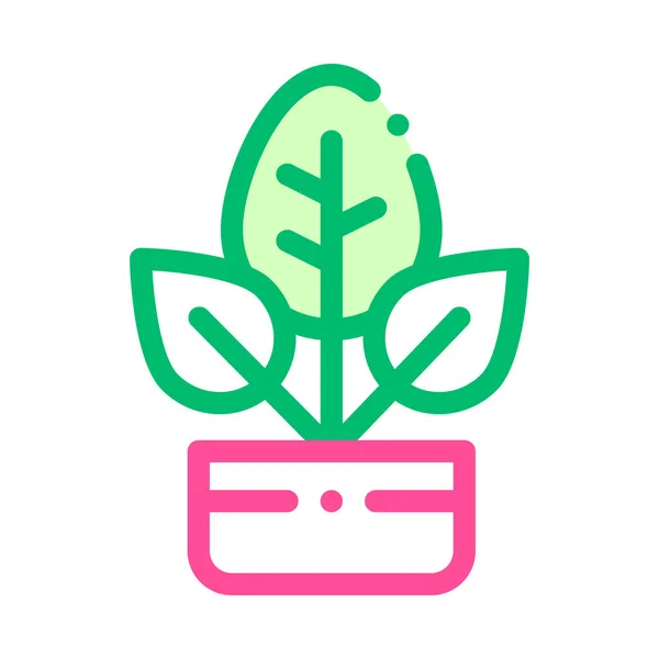 Bush Plant levelek a pot Vector vékony vonal ikon — Stock Vector
