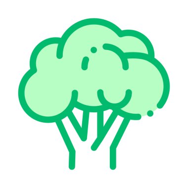 Sağlıklı Gıda Sebze Rapini Vektör İşaret Ikon