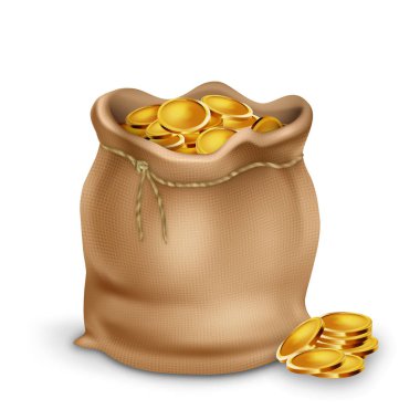 Golden Coin In Vintage Textile Bag Purse Vector