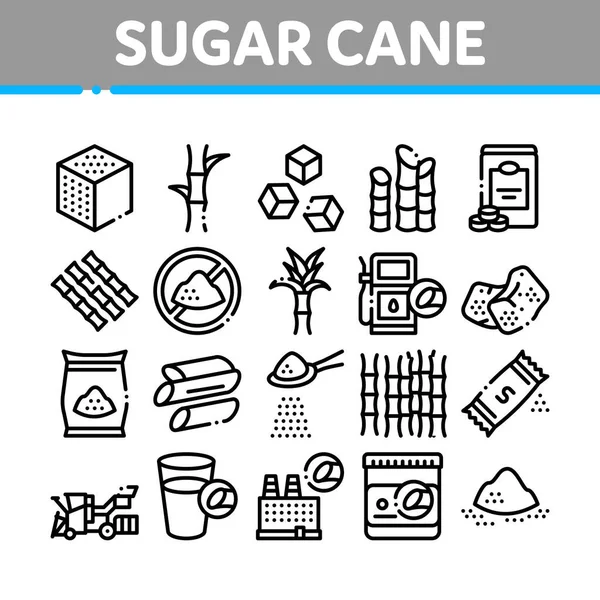 Cana de açúcar Agricultura coleção ícones conjunto vetor — Vetor de Stock