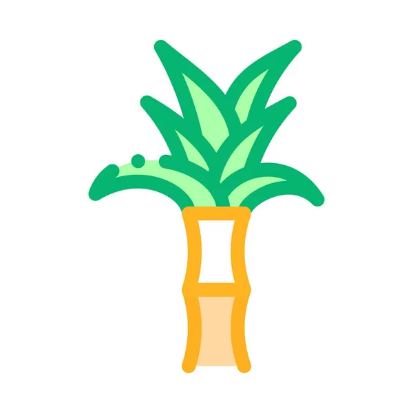 Planta de caña de azúcar Icono Vector Esquema Ilustración — Vector de stock