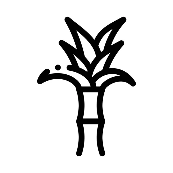 Planta de caña de azúcar Icono Vector Esquema Ilustración — Vector de stock