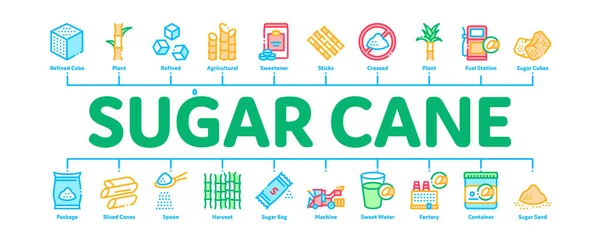 Vecteur minime de bannière infographique de canne à sucre — Image vectorielle