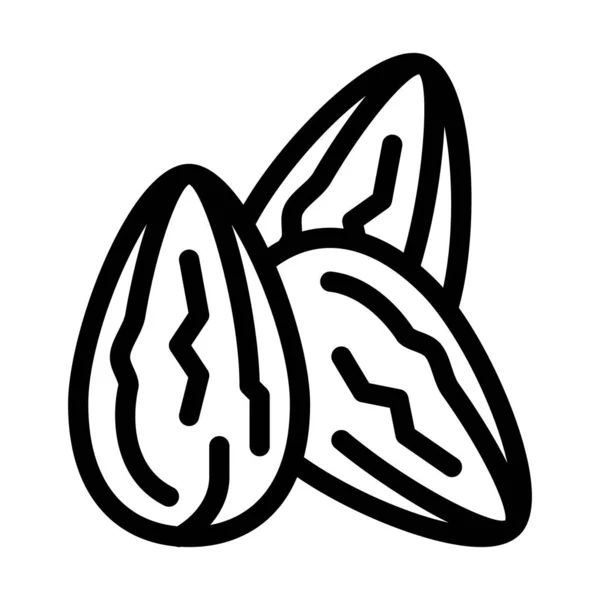 Fèves de cacao icône vectoriel contour illustration — Image vectorielle