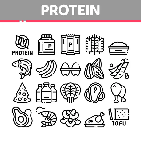 Protein Food Nutrition Collection ikonok Set vektor — Stock Vector