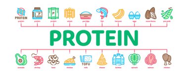 Protein Gıda Beslenme Minimum Bilgisel Sancak Vektörü