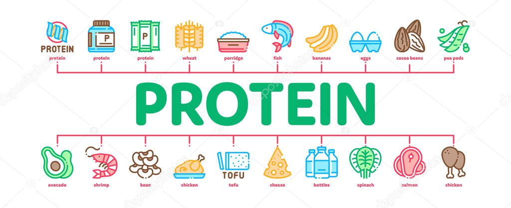 Protein Food Nutrition Minimal Infographic Banner Vector