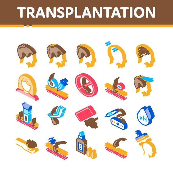 Isometrische Symbole für Haartransplantation setzen Vektor — Stockvektor