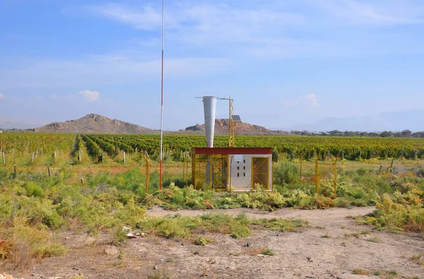 Przeciwgradowych roślin na plantacjach winorośli. Lusarat, Armenia — Zdjęcie stockowe