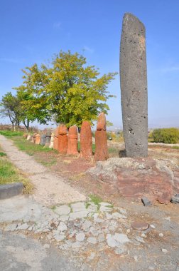 Vishap taşlar ve fallik semboller Metzamor kazıları sırasında keşfetti. II millennium M.ö. Ermenistan