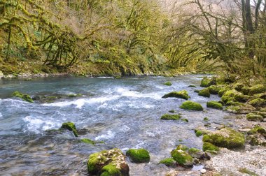 Mchishta Nehri'nin üst ulaşır. Abhazya