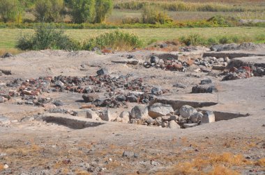 Antik Metsamor yerleşim bölgesindeki arkeolojik kazılar. Ermenistan