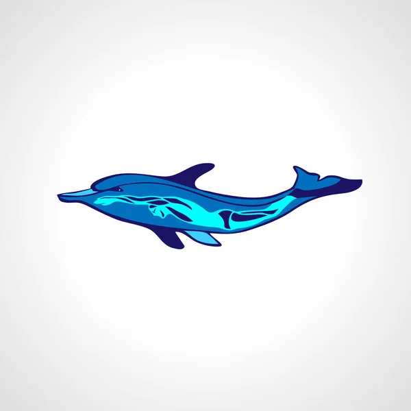 Buceador y delfín gratis. Freediving vector logotipo de color — Archivo Imágenes Vectoriales