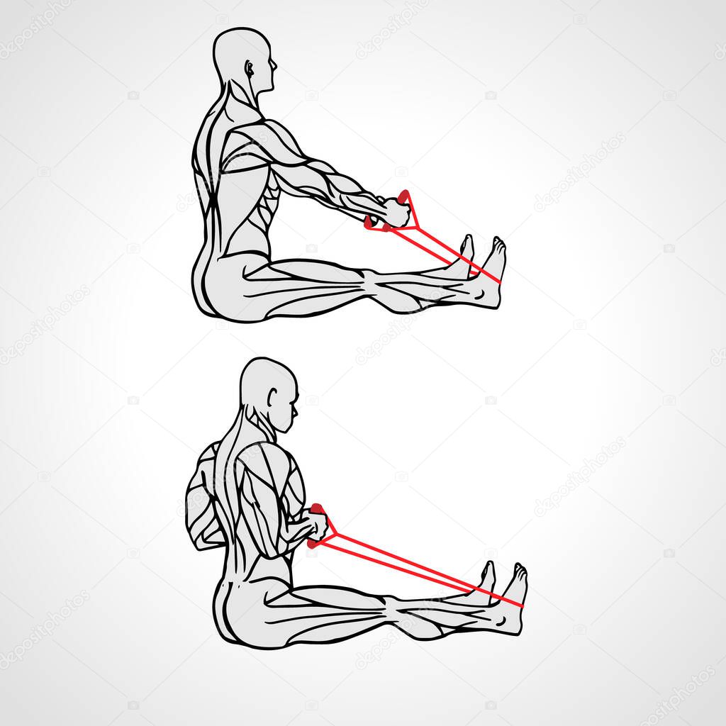 Resistance Band Upper Back Row exercise vector illustration