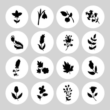 Yaprak ve çiçek Icons set.