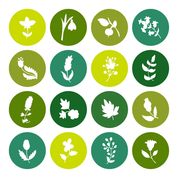 Bladeren en bloemen icons set. — Stockvector