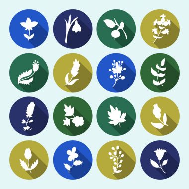 Yaprak ve çiçek Icons set.