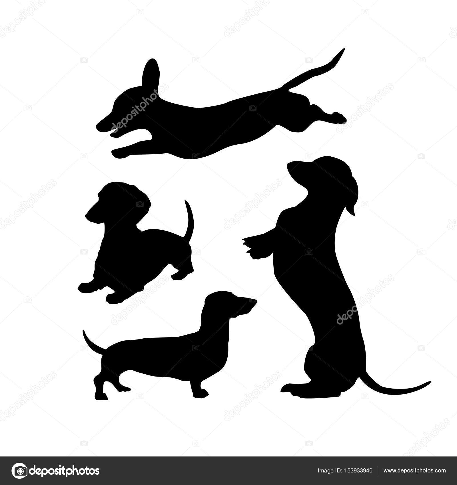 Download Black silhouettes of dachshunds dogs on a white background ...