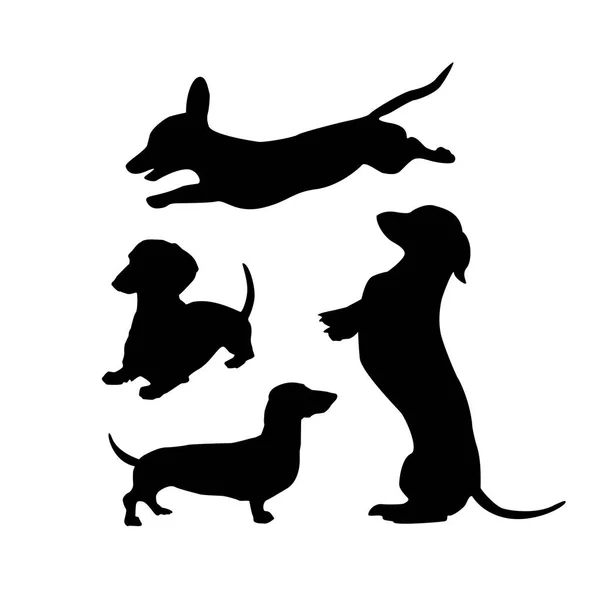 Siluete negre de dachshunds câini pe un fundal alb . — Vector de stoc