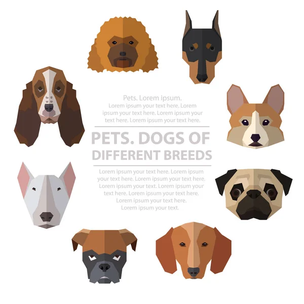 Cabezas de perros de diferentes razas . — Vector de stock