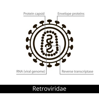 Retroviridae. Virüs sınıflandırılması.