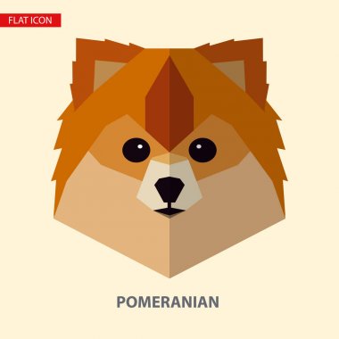 Pomeranian baş vektör çizim.
