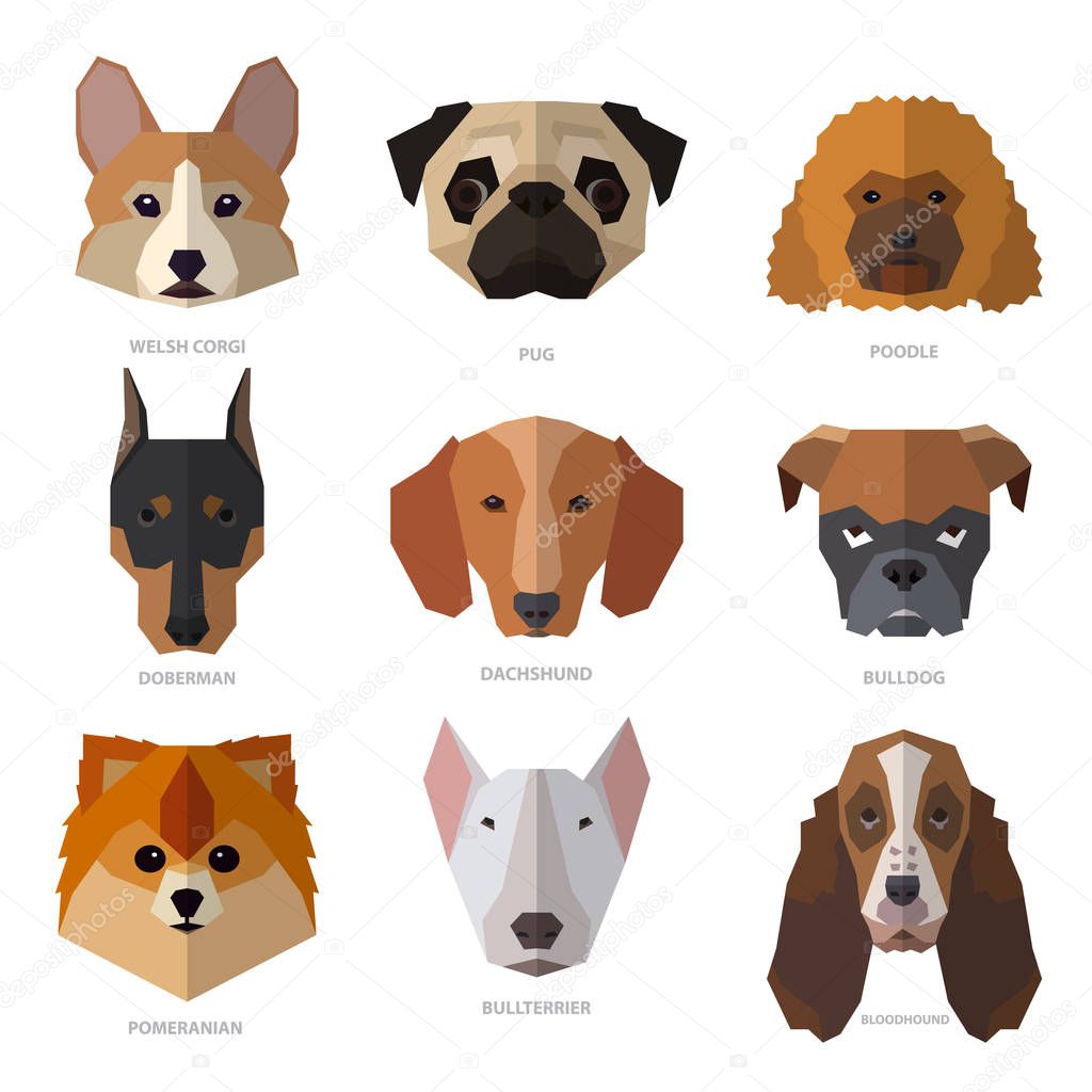 Dogs heads of different breeds. Vector illustration set for your cute design.