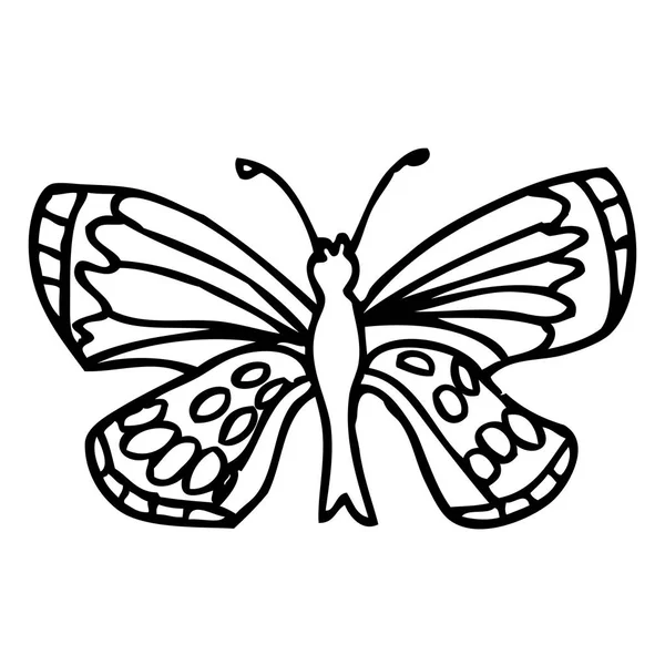 Zwarte doodle decoratieve sierlijke vlinder geïsoleerd op witte backg — Stockvector