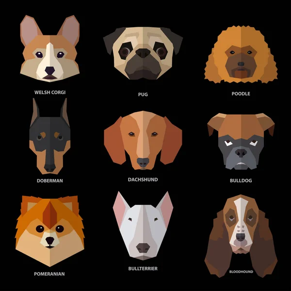 Dogs heads of different breeds. — Stock Vector