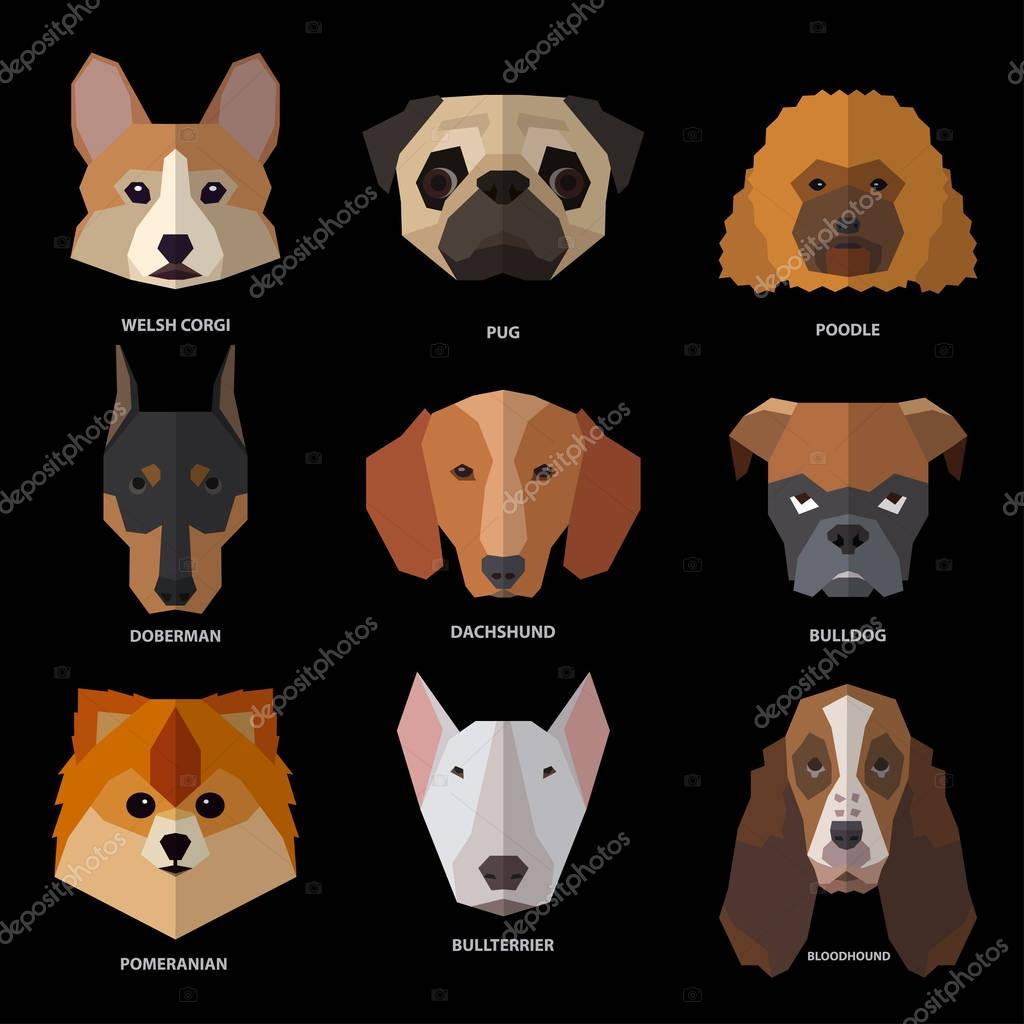 Dogs heads of different breeds. Vector illustration set for your cute design.