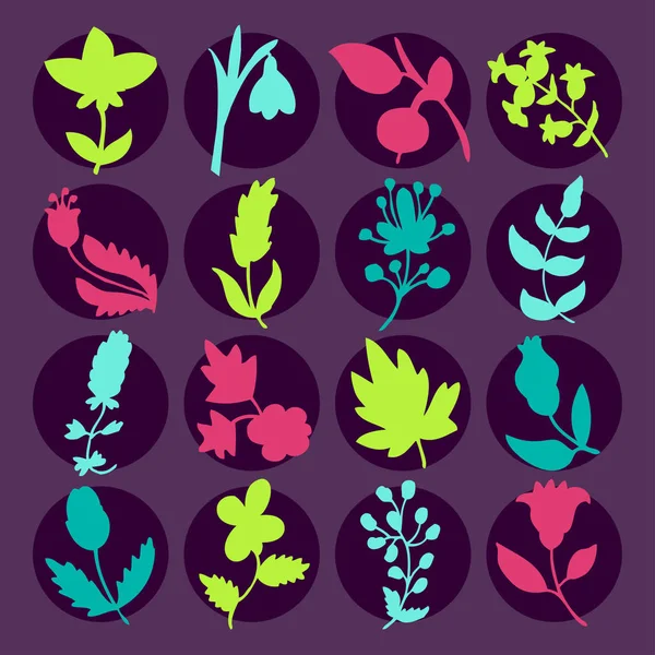 Conjunto de ícones de folhas e flores . — Vetor de Stock