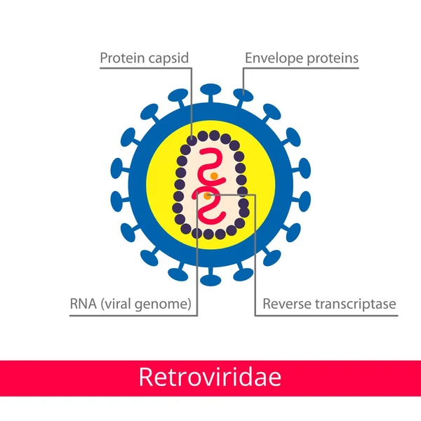 Retroviridae Clasificación Virus Iconos Biología Vectorial Iconos Virus Médicos — Vector de stock