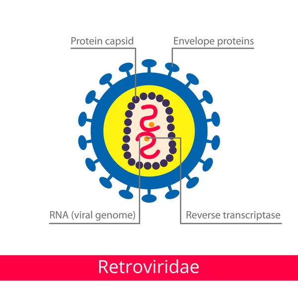 Retroviridae Clasificación Virus Iconos Biología Vectorial Iconos Virus Médicos Gráficos Vectoriales